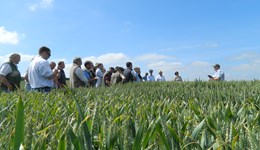 Designing a fungicide strategy for your farm